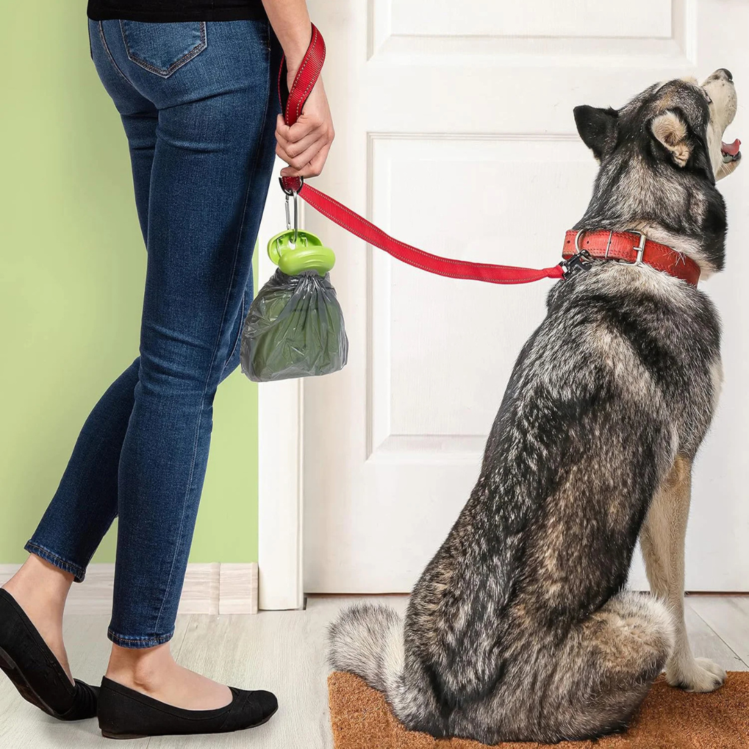 Recogedor de desechos para perros, portátil